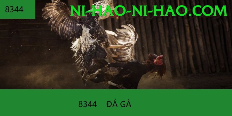 Đá Gà Trực Tiếp - For88vn